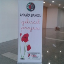 Roll Up Baner (2)